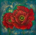 Bright red poppies Royalty Free Stock Photo