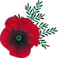 Bright red poppy flower, vector illustration, Royalty Free Stock Photo