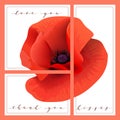 Bright red Poppy set of cards with words love you, thank you, kisses. Papaveroideae background. 3 in 1 poster,