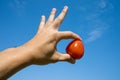 Young man hand holding red tomato with blue sky Royalty Free Stock Photo