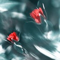 Bright red rose on an abstract background with watercolor effect. Summer spring nature background. Square format. Royalty Free Stock Photo