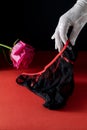 Bright red rose and female hand in white mesh glove holding women\'s panties on red in dark key Royalty Free Stock Photo