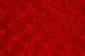 Bright red rose plush fabric background Royalty Free Stock Photo