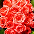 Bright red roses bunch