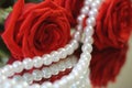 Bright red roses with green leaves and necklace pearl white reflected in the mirror. Closeup. Royalty Free Stock Photo