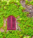 Bright Red Shuttered Window Surrounded By Green Creeping Vines O