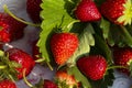 Bright red strawberry Collected, from fresh gardens Royalty Free Stock Photo