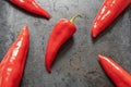 Bright red sweet peppers on dark baking sheet. Flat lay, space for text