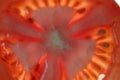 Bright red tomato slice at close range Royalty Free Stock Photo
