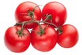 Bright red tomatoes isolated Royalty Free Stock Photo