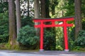 Bright red Torii gate surrounded by dense sequoia, redwood fores