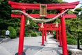 Tori Gate at the steam rising hot spring Umi Jigoku, Beppu, island Kyushu Japan. Royalty Free Stock Photo