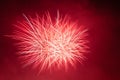 Bright red and white fireworks against the backdrop of the night sky Royalty Free Stock Photo