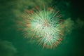 Bright red, white and green fireworks against the backdrop of the night sky Royalty Free Stock Photo