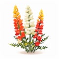 Flat Vector Infographic: Snapdragon And Daisy Flowerheads On White Background