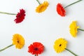 Bright red and yellow gerbera flowers arranged into a circle frame on the white background,
