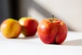 Bright ripe apple of an unusual shape buttocks in the light of the sun on a white background with ordinary apples behind Royalty Free Stock Photo