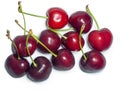 bright ripe cherries on a white background. Berries with a stem Royalty Free Stock Photo