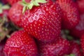Bright ripe large strawberries close-up