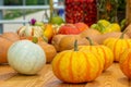 Bright ripe orange white pumpkins harvesting a farm crop. Fresh pumpkin vegetable on a wooden table, set of different varieties, Royalty Free Stock Photo