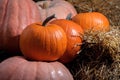 Bright ripe pumpkins piled on hay bales. Closeup. Autumn harvest festival