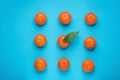 Bright Ripe Tangerines Arranged in Rows in Square One with Green Leaf in Middle. Blue Background. Styled Creative Image.