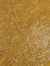 Bright ripples on the surface of the water. Golden sand beneath the brilliant ripples on the surface of the water. Shallow water Royalty Free Stock Photo