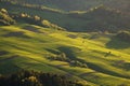 Bright rolling countryside in the evening light. Picturesque day and gorgeous scene in spring time. Carpathian mountains, Slovakia Royalty Free Stock Photo