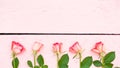 Bright roses on pink wood background