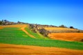 Bright rural colored field autumn landscape