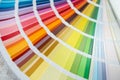 bright samples of color palette
