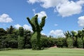 Large leafy topiary forms on bright lawn Royalty Free Stock Photo