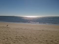 Bright sea, sand and sun. The coast of Sinaloa. Royalty Free Stock Photo