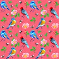 Seamless pattern with birds, bees and dog-rose flowers on pink background Royalty Free Stock Photo