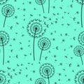 Bright seamless pattern with dandelions fluff Royalty Free Stock Photo