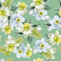 Bright seamless pattern with flowers. Narcissus. Yucca. Hand drawn