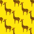 Bright seamless pattern with orange and black colored giraffe ornament. Yellow background