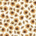 Bright seamless pattern with sunflowers. Hand drawn watercolor flowers.