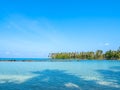 Bright seascape background on sunny day. Summer background with tropical palm tree, rocks, island, clear water sea. Royalty Free Stock Photo