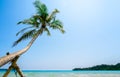 Bright seascape on sunny day. Summer background with bent tropical coconut palm tree on sandy beach. Royalty Free Stock Photo