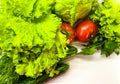 Bright seasonal vegetables on an abstract light surface. Royalty Free Stock Photo