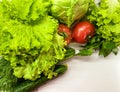 Bright seasonal vegetables on an abstract light surface Royalty Free Stock Photo