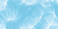 A bright, serene blue background featuring abstract dandelion-like patterns floating in the design.