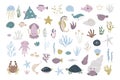 Bright set with various sea animals, water plants, shells, stones Royalty Free Stock Photo