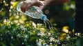 In a bright setting, a close-up of hands pouring water from a plastic bottle underscores the themes of sustainability Royalty Free Stock Photo