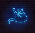 Bright shihing neon cat sign. Editable color and brightness. Vector.