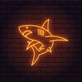 Bright shihing neon shark sign. Editable color and brightness. Vector. Danger, sports, sea, bar