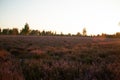 Bright shining golden sunset over a rural field Royalty Free Stock Photo