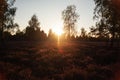 Bright shining golden sunset over a rural field Royalty Free Stock Photo