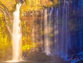 Bright shiraito waterfall scenery Royalty Free Stock Photo